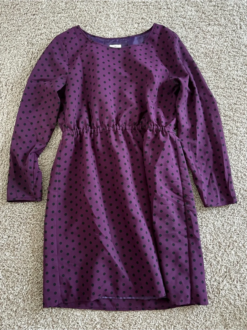 J.Crew Deep Plum Purple Polka Dot Long Sleeve Shift Dress Size 8 Petite